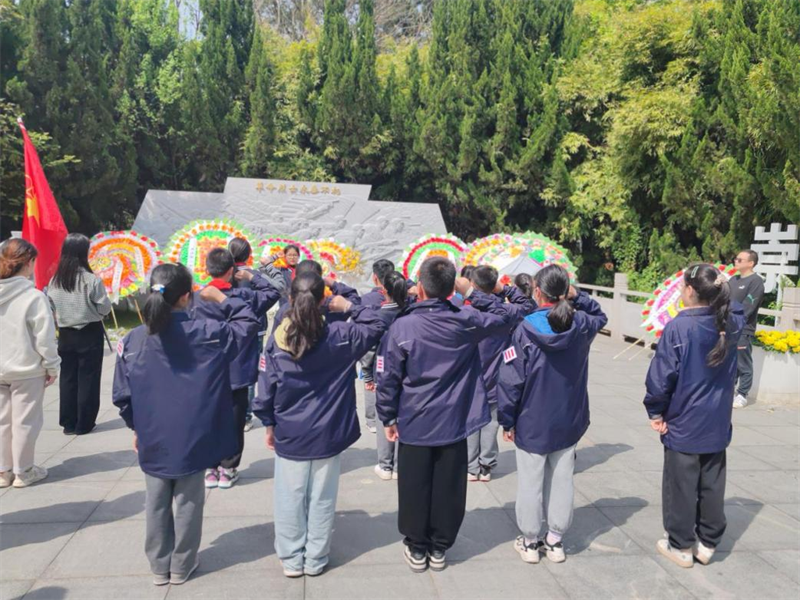 图片1.png 图片1.png